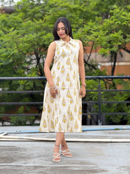 Dress/Frock/Aline