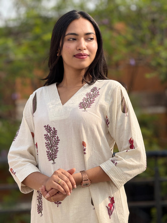 Kurti pant /Co-ords