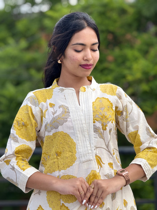 Kurti pant /Co-ords
