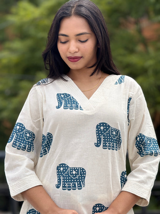 Kurti pant /Co-ords