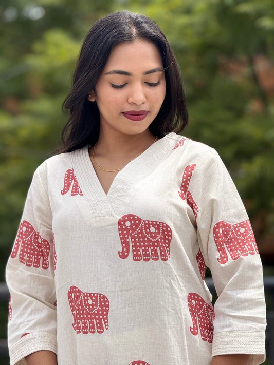 Kurti pant /Co-ords