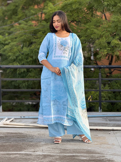 Party Wear Suit Set