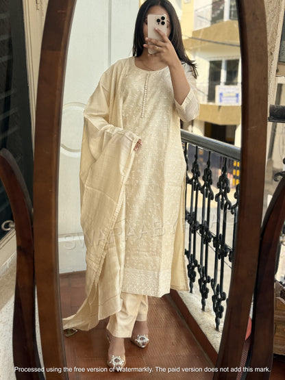 Party Wear Suit Set