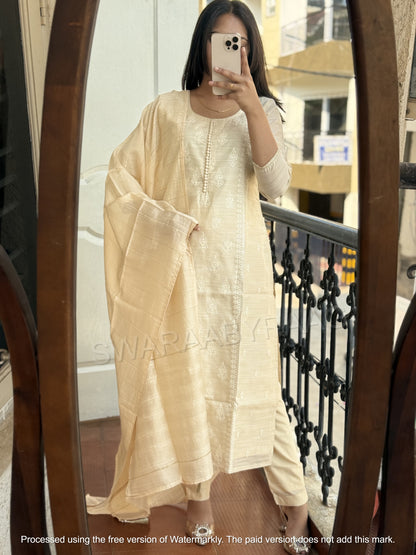 Party Wear Suit Set
