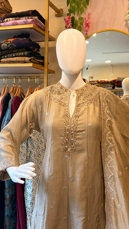 Party Wear Suit Set